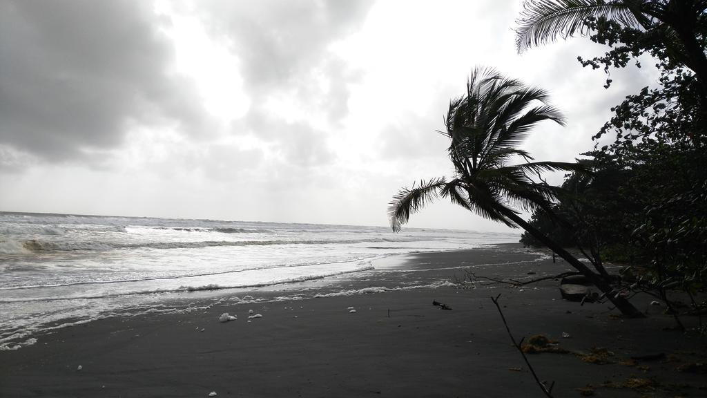 All Rankins Eco-Lodge Tortuguero Exterior photo