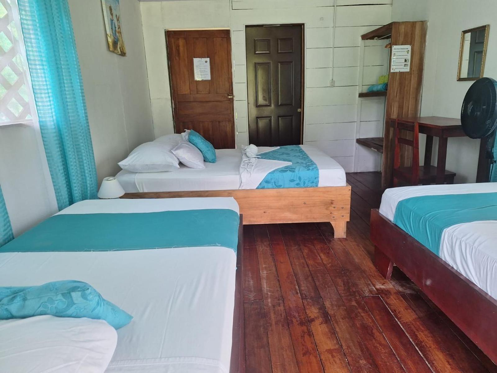 All Rankins Eco-Lodge Tortuguero Exterior photo