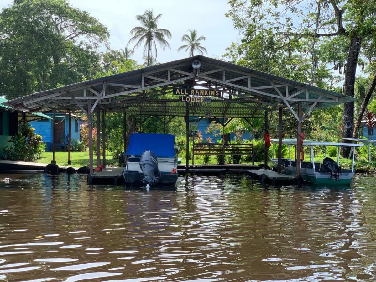 All Rankins Eco-Lodge Tortuguero Exterior photo