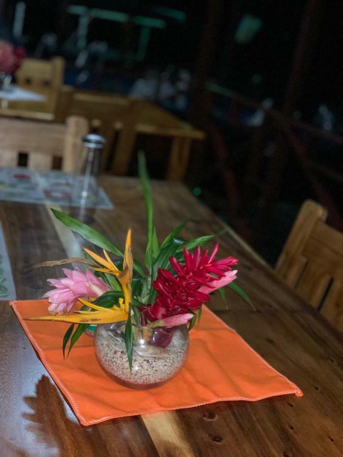 All Rankins Eco-Lodge Tortuguero Exterior photo
