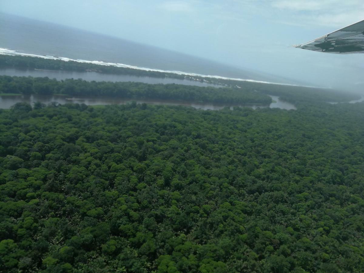 All Rankins Eco-Lodge Tortuguero Exterior photo