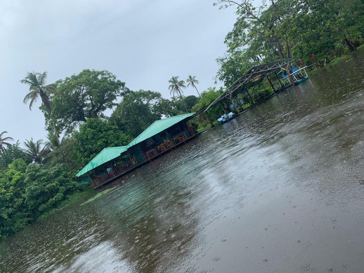 All Rankins Eco-Lodge Tortuguero Exterior photo