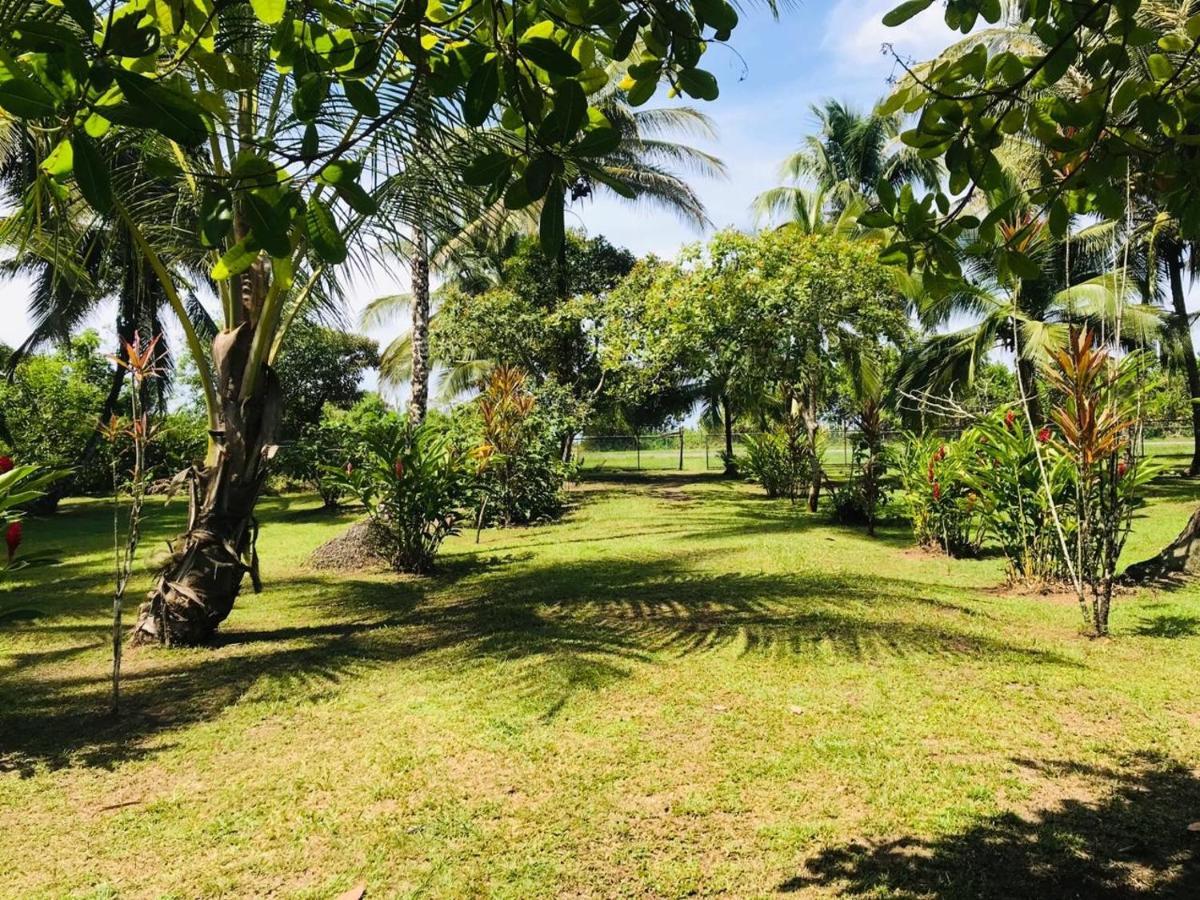 All Rankins Eco-Lodge Tortuguero Exterior photo